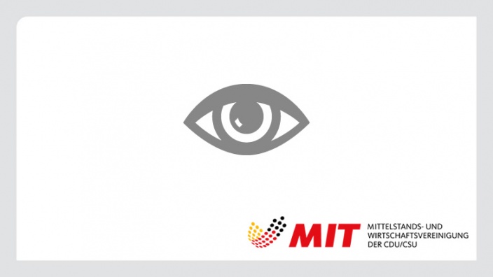 MIT in den Medien